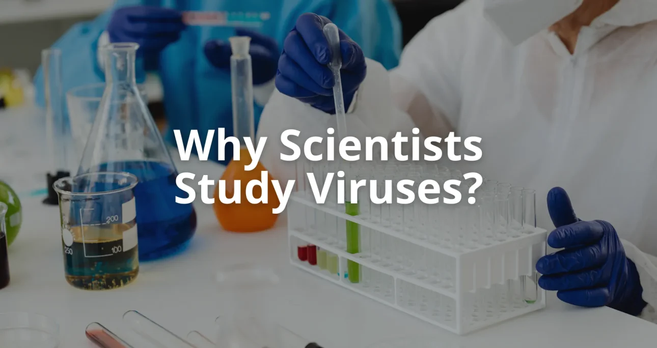 What Makes a Supplement Truly “Smart”?